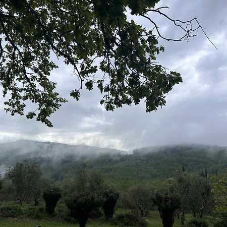 Podere Sagna Castellina in Chianti Kültér fotó