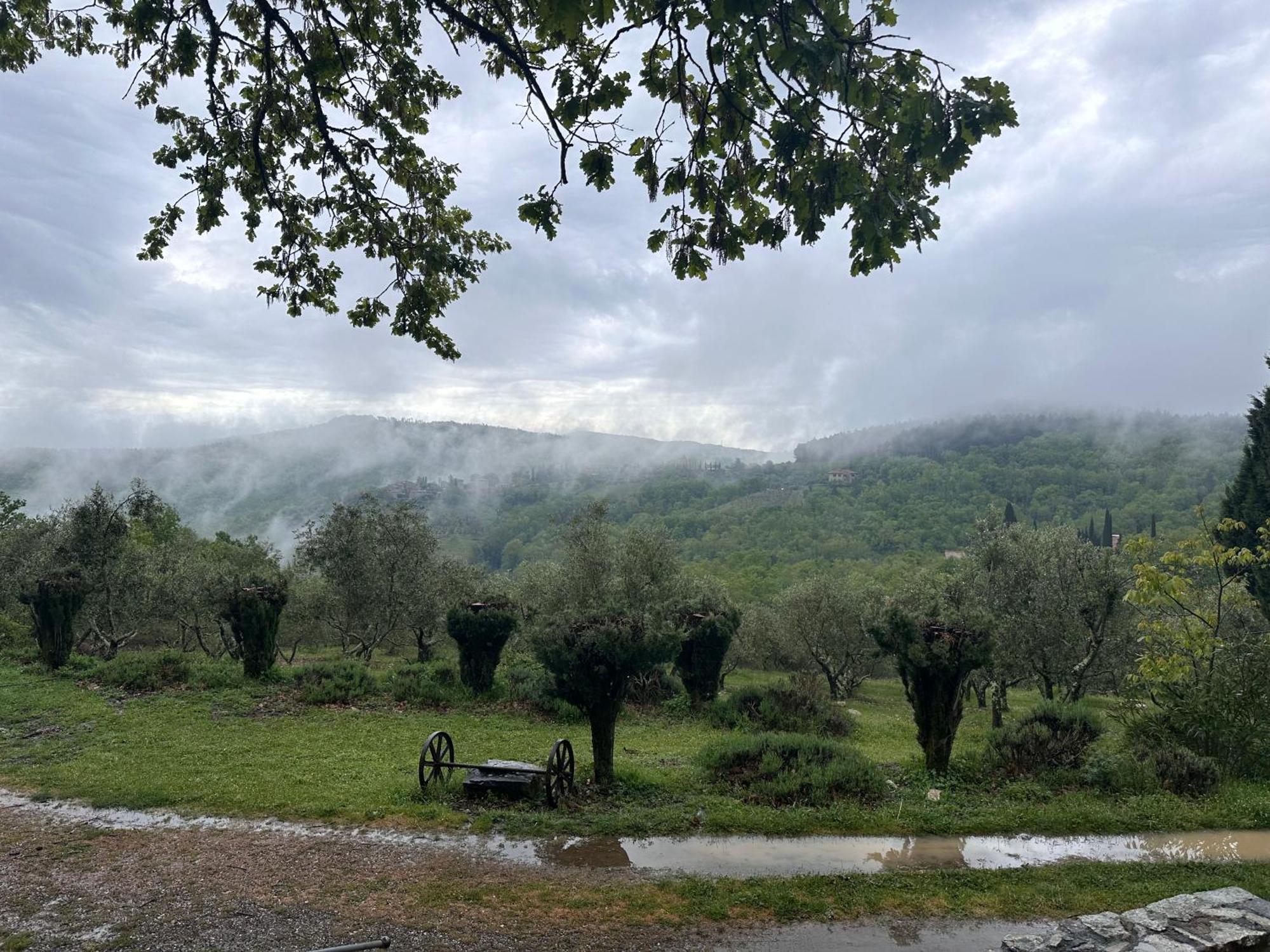 Podere Sagna Castellina in Chianti Kültér fotó