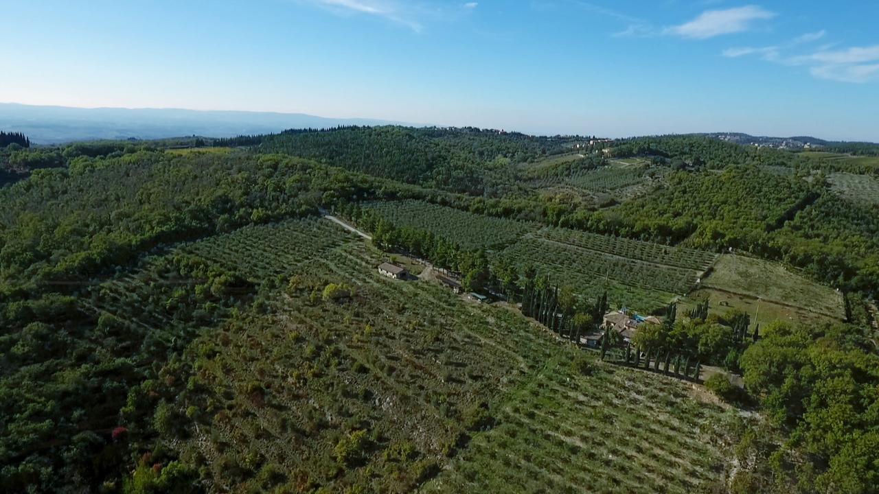 Podere Sagna Castellina in Chianti Kültér fotó