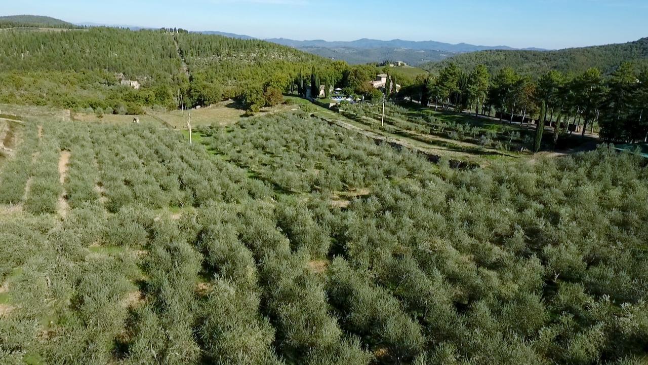 Podere Sagna Castellina in Chianti Kültér fotó